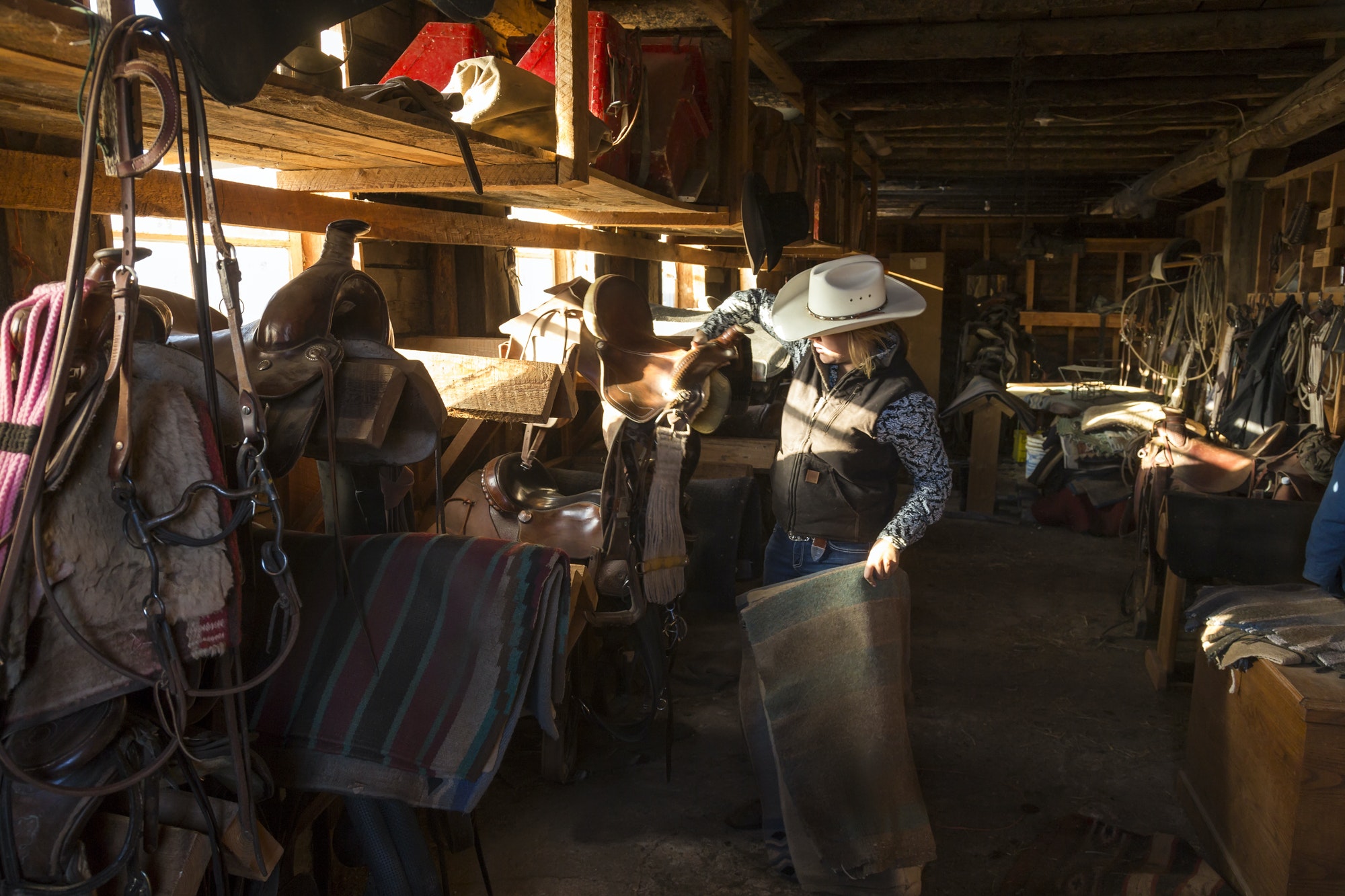 Cowboy standing in stable with racks of riding tack and saddles, holding leather saddle and striped