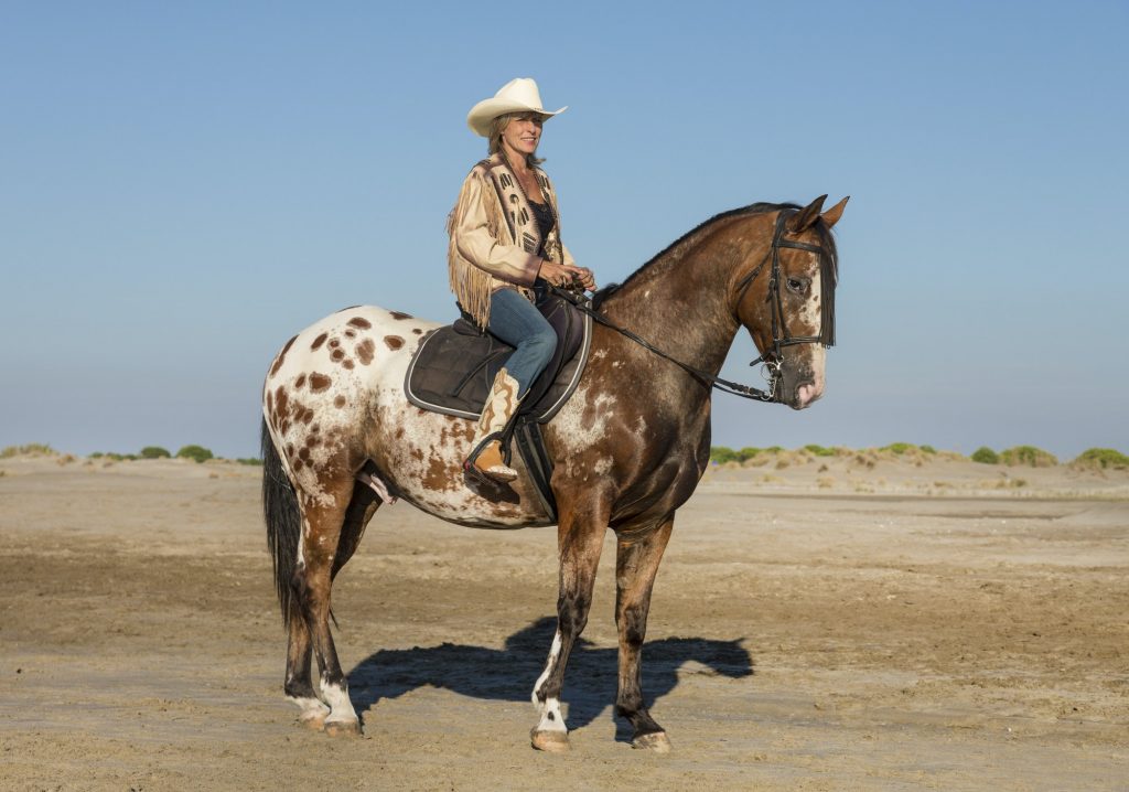 A Guide To Appaloosa Horse  Horsy Land - All about horses