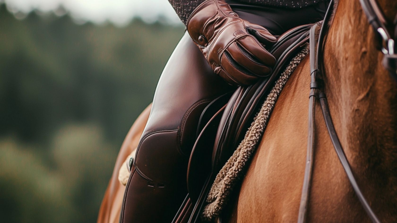 Horse Riding Gloves